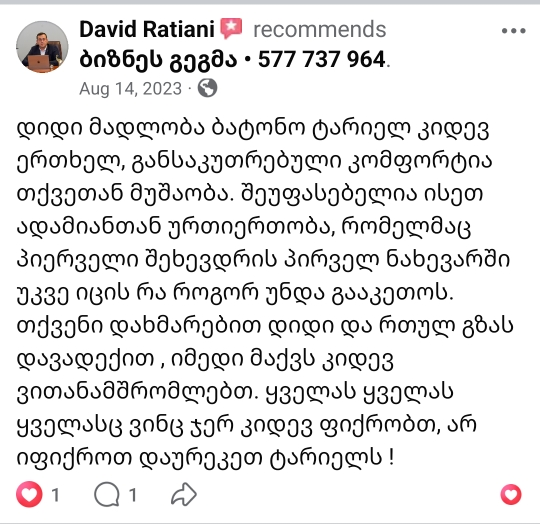 david