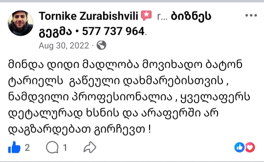 tornike2
